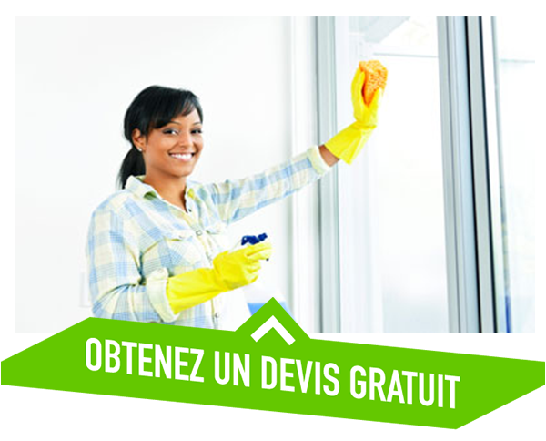 Laveur de vitre devis gratuit Saint Gilles